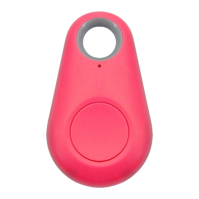 Pet Smart GPS Tracker